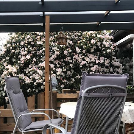 Haus Alma 1 Apartment Wardenburg Ngoại thất bức ảnh