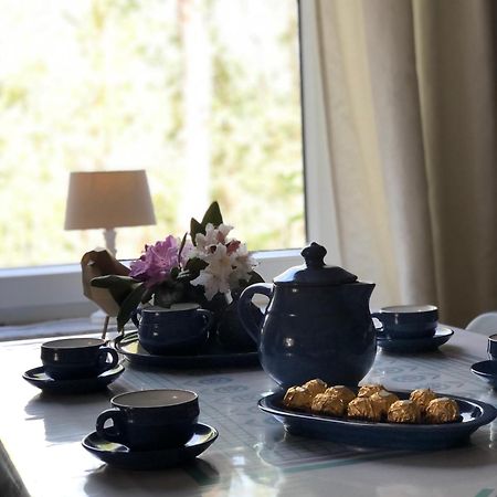 Haus Alma 1 Apartment Wardenburg Ngoại thất bức ảnh